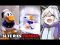 Download Lagu SI TE RIES PIERDES NIVEL SAN PITO PATO 🤣😂