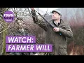 Lagu WATCH: Prince William Gets His Hands Dirty at Family Farm in Herefordshire