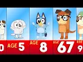 Bluey characters Ages Revealed Youngest to Oldest