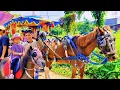 Download Lagu NAIK DELMAN ISTIMEWA - LAGU NAIK DELMAN - KUDA DELMAN - KUDA TUNGGANG - NAIK DELMAN POPULER
