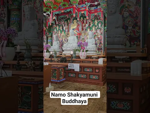 당신을 위한 1분 기도 🙏 | A 1-Minute Prayer: Namo Shakyamuni Buddhaya