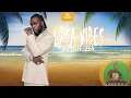 Download Lagu DJ LA VIE EXTA VIBES 2022 OCTOBER NEW HIT MIX//BURN BOY,AZAWI, START,KENNY SOLO,SAMY TILLER...//