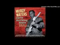 Muddy Waters - Too Young To Know