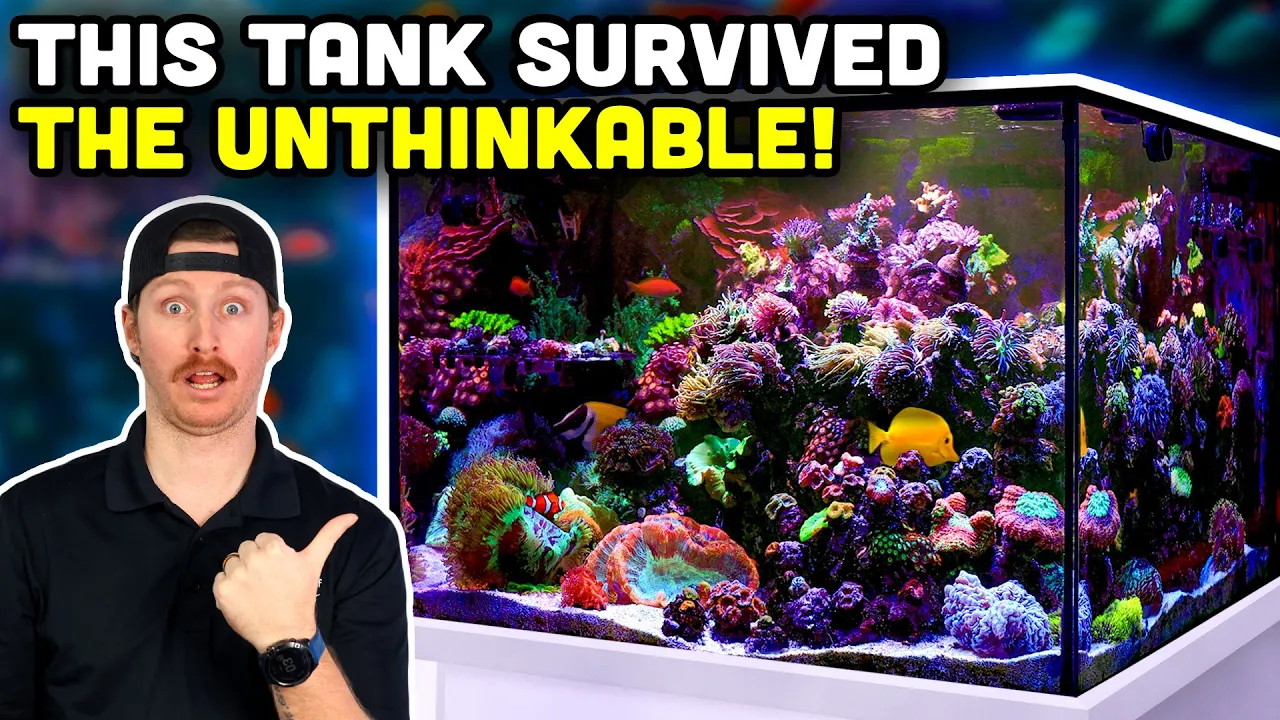 The Bulletproof 150-Gallon Reef