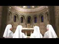 Hail Holy Queen! Mother of Mercy!