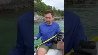 Lionfish Tamer ☠️🐠☠️ Follow Sailing Bye Felicia For More. #sailingbyefelicia