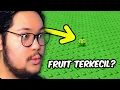 Download Lagu AKU CARI ITEM PALING KECIL DI GROW A GARDEN!?