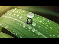 Download Lagu Justin Bieber Ft. The Chainsmokers \u0026 Kygo - These Days