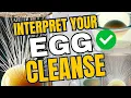 Interpret Your Egg Cleanse Learn What It Tells You