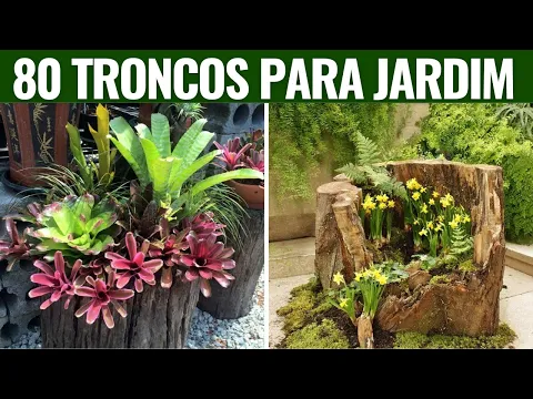 Download MP3 80 IDEIAS DE TRONCOS PARA JARDIM QUE VOCÊ SÓ ENCONTRA AQUI