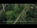 Download Lagu Amazing Drone Video of Kakum Canopy Walkway