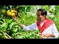 Download Lagu Presiden Jokowi Kunjungi Kampung Jeruk Liang Melas Datas, Karo, 4 Februari 2022