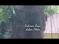 Download Lagu Objek Wisata Kuburan bayi (baby grave) Passiliran, Tampang Allo, Sarapung Sangalla Toraja