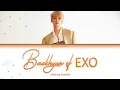Lagu Baekhyun EXO - MY LOVE(Romantik Doctor OST 1)Lirik Sub-Indo