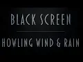 Download Lagu Howling Wind \u0026 Rain Sounds | Pure Black Screen For Uninterrupted Sleep | Fall asleep fast | 8Hrs
