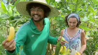 Meio Ambiente por Inteiro - Agricultura revitalizadora (04/03/17)