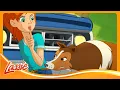 Download Lagu 🐶 BRAVE DOG Saves Beaver Creek \u0026 Teaching Us to Swim! 🌊 Cartoon for Kids @lassie.official