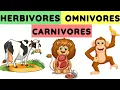 Herbivores carnivores and omnivores Animals and their food Eating habits of animals