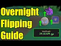 Make 10M a DAY while OFFLINE - OSRS Overnight Flipping Guide