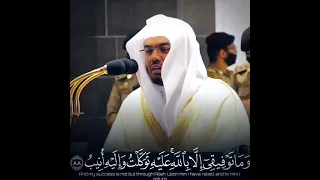 آية  وما توفيقي إلا بالله عليه توكلت وإليه أنيب  للشيخ أ د   ياسر الدوسري دندنها