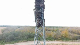                           دندنها