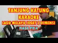 Download Lagu Tanjung Katung Karaoke Nada Pria - Karaoke Melayu Joget 2 Dimensi