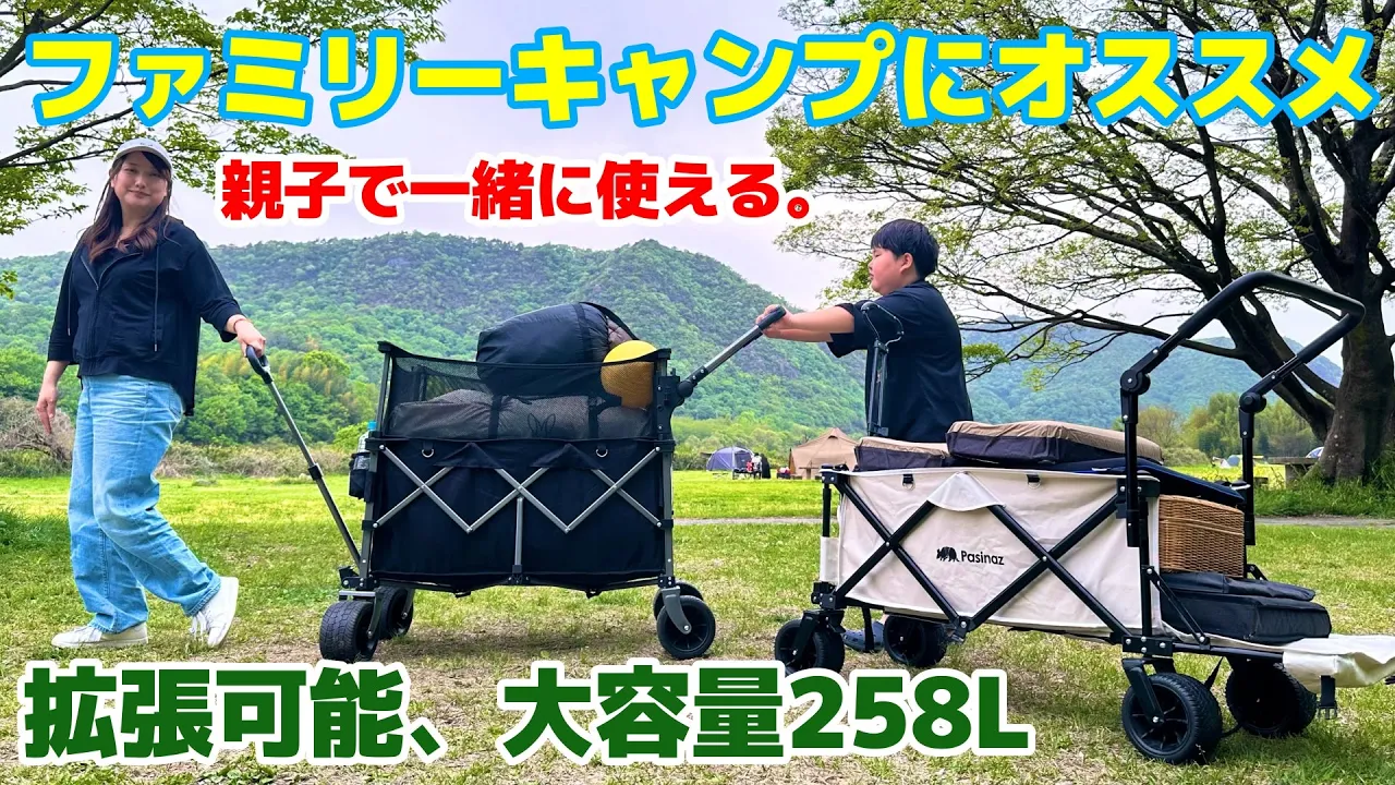 【圧倒的大容量】拡張できて親子で使える超便利なキャリーワゴン(Pasinaz)