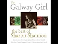 Sharon Shannon feat. Dessie O'Halloran, Mundy, Damien Dempsey - Courtin' in the Kitchen [Audio Strea