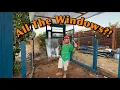 I Removed EVERY Window From My Greenhouse