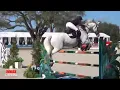 HITS Ocala Winter Series 2024