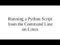 Running a Python script from the CLI on Linux