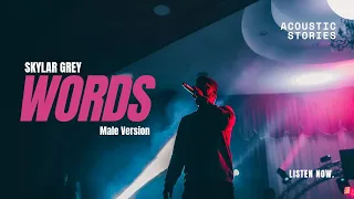Words By Skylar Grey Male Version Acoustic Stories 