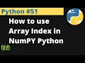 Python How to use Array Index in NumPY Python Hindi EasyExamNotes com Jayesh Umre