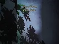 Download Lagu Gihon Marel Cover - Angin Datang Kasih Kabar (Short Story)