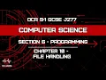 Programming - Chapter 10