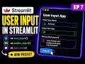How to display user Input in Streamlit Text Input Number Input Text Area