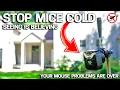 EASY WAY to Get Rid of Mice in Your House FOREVER - No More Mousetraps
