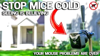 Download EASY WAY to Get Rid of Mice in Your House FOREVER - No More Mousetraps! MP3