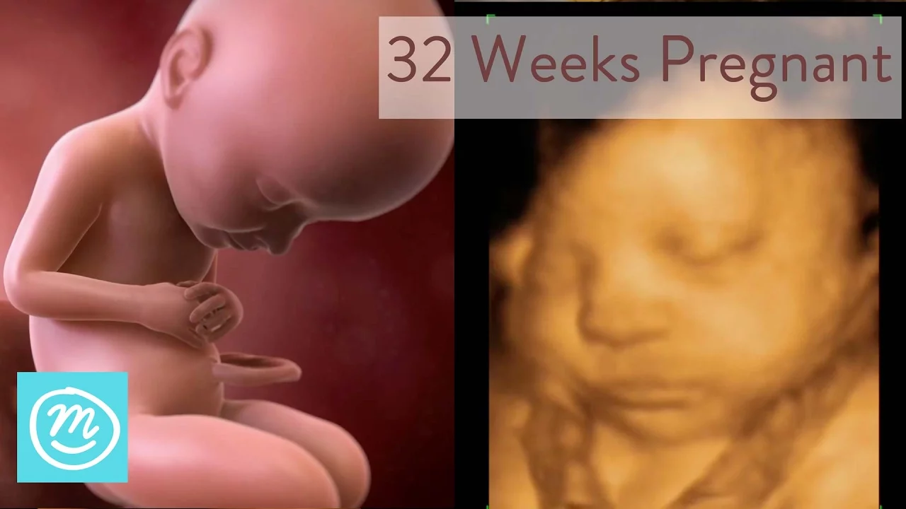 32 weeks pregnant | Symptoms, tips and more