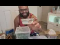Unboxing a BEAUTIFUL Lilly white Crested Gecko from TikisGeckos