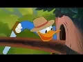ᴴᴰ Pato Donald y Chip y Dale dibujos animados - Pluto, Mickey Mouse Episodios Completos Nuevo 2019