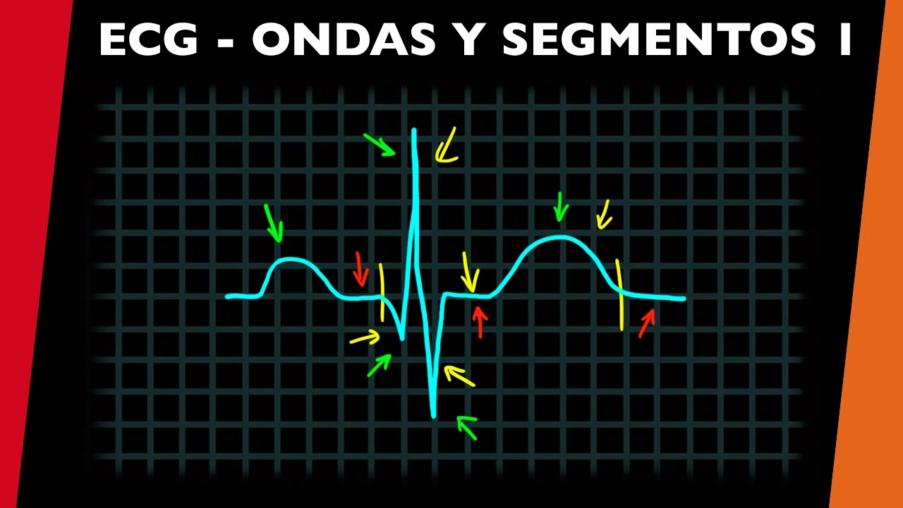 ECG - Ondas, intervalos y segmentos 1 - [visita mi Podcast y aprende Medicina mientras descansas]