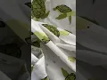IKEA turtle bedding