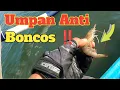 Download Lagu UMPAN ANTI BONCOS Yang Wajib Dibawa Saat Mancing Di Spot Potensial Ini, Dijamin Strike