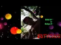 BAGA KA'G FACE by Malaya Macaraeg [Mastermind Mixed Videos]