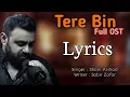 Download Lagu Tere Bin OST |  Shani Arshad | Yumna Zaidi | Wahaj Ali  Drama Ost lyrics #terebin