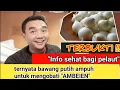 Download Lagu Obat Ambeien atau wasir Bagi Pelaut Kapal Pesiar dan Kapal Sungai