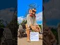 Download Lagu Sinds welk jaar vind je Djinn ook buiten de Fata Morgana in de Efteling? ✨️