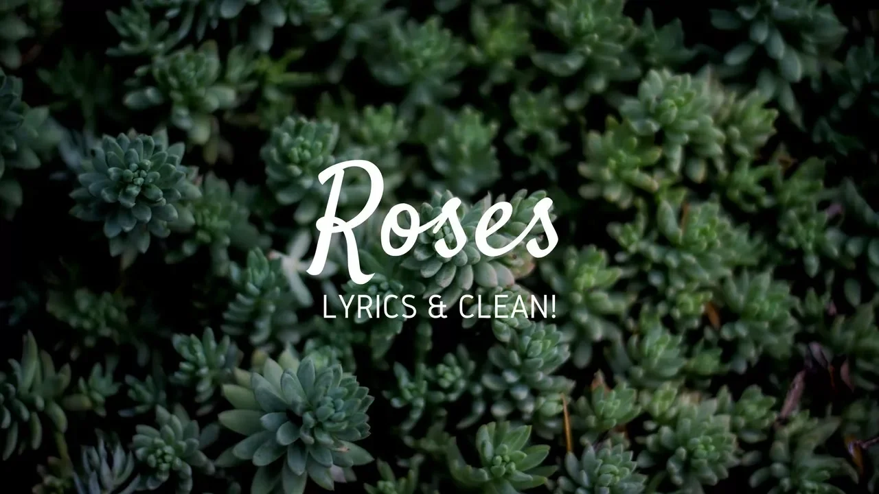 Roses -The Chainsmokers - Lyrics and Clean!