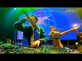 Download Lagu PAPAZXK - Wetwood 4.0 Pool Party DJ Set | Baile Funk, Miami Bass, Club Edits, 2000s, HipHop [4K]